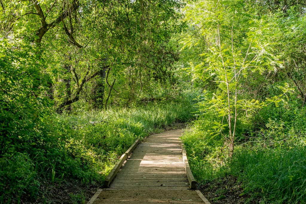 Group Camping photo 8