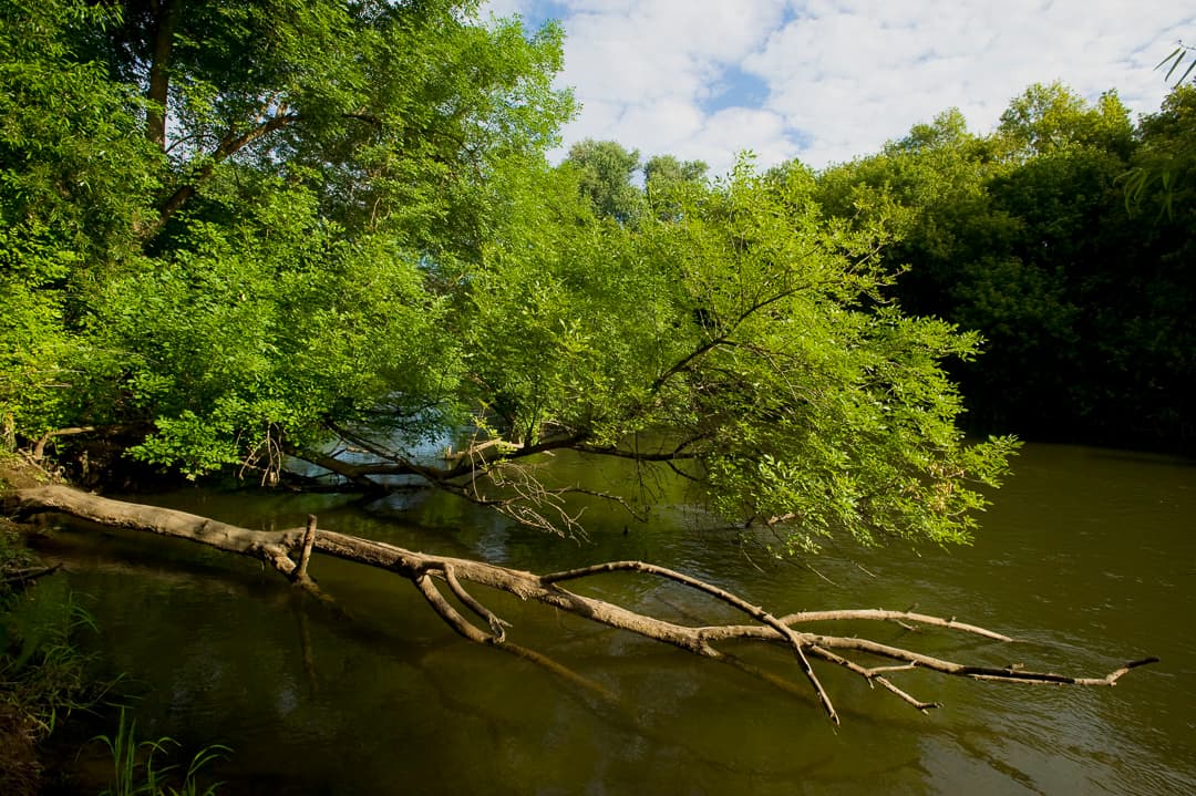 Group Camping photo 2