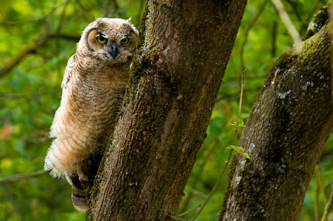 Group Camping photo 3