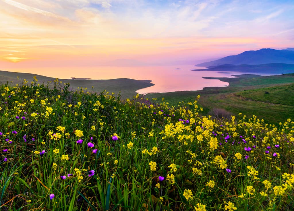 San Luis Creek Campground photo 8