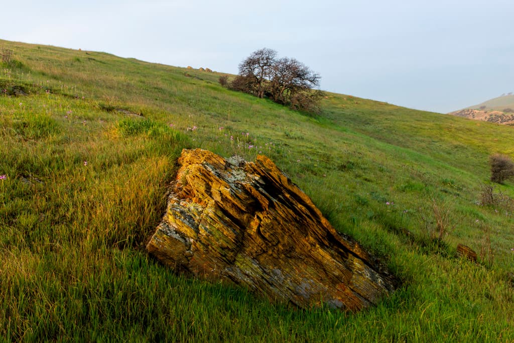 San Luis Creek Campground photo 4