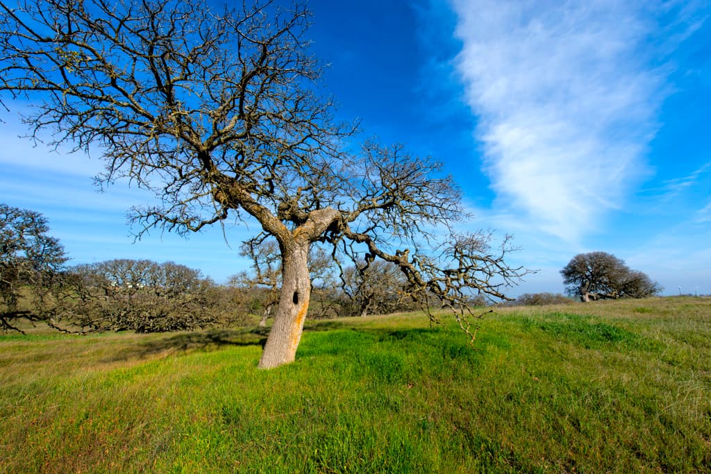 San Luis Creek Campground photo 3