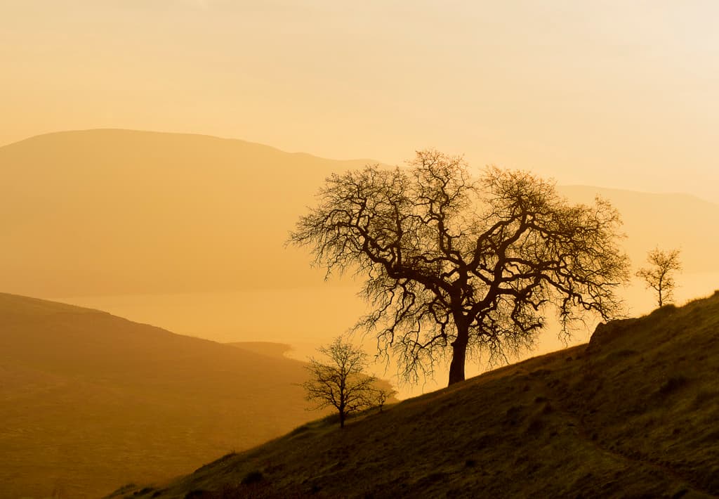 San Luis Creek Campground photo 2