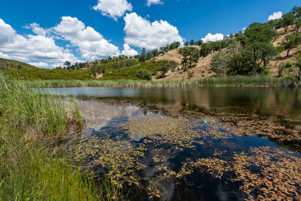 Coe Ranch Campground photo 7