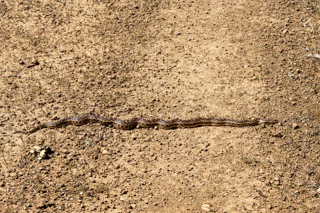 Coe Ranch Campground