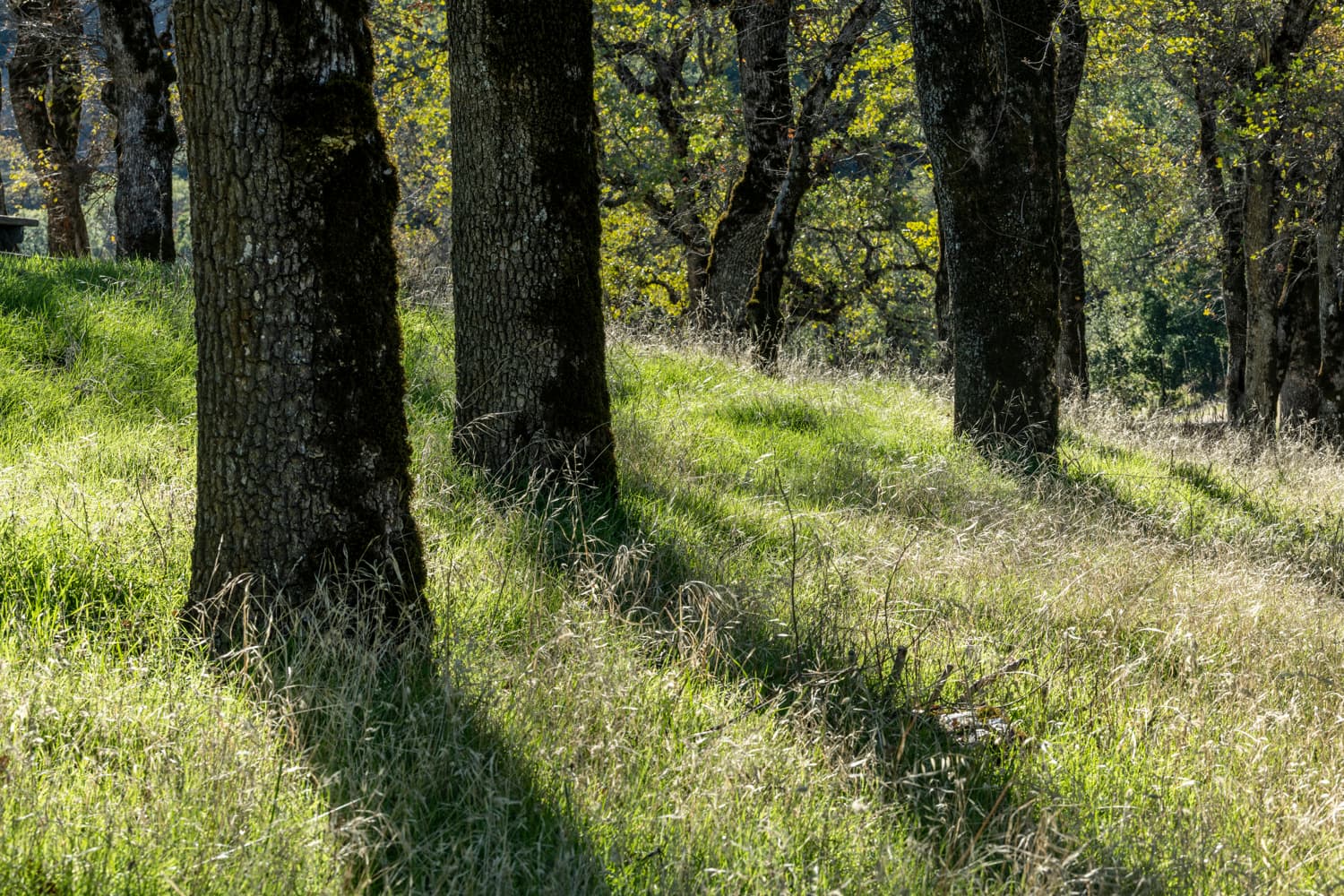 Valley View Campground photo 5