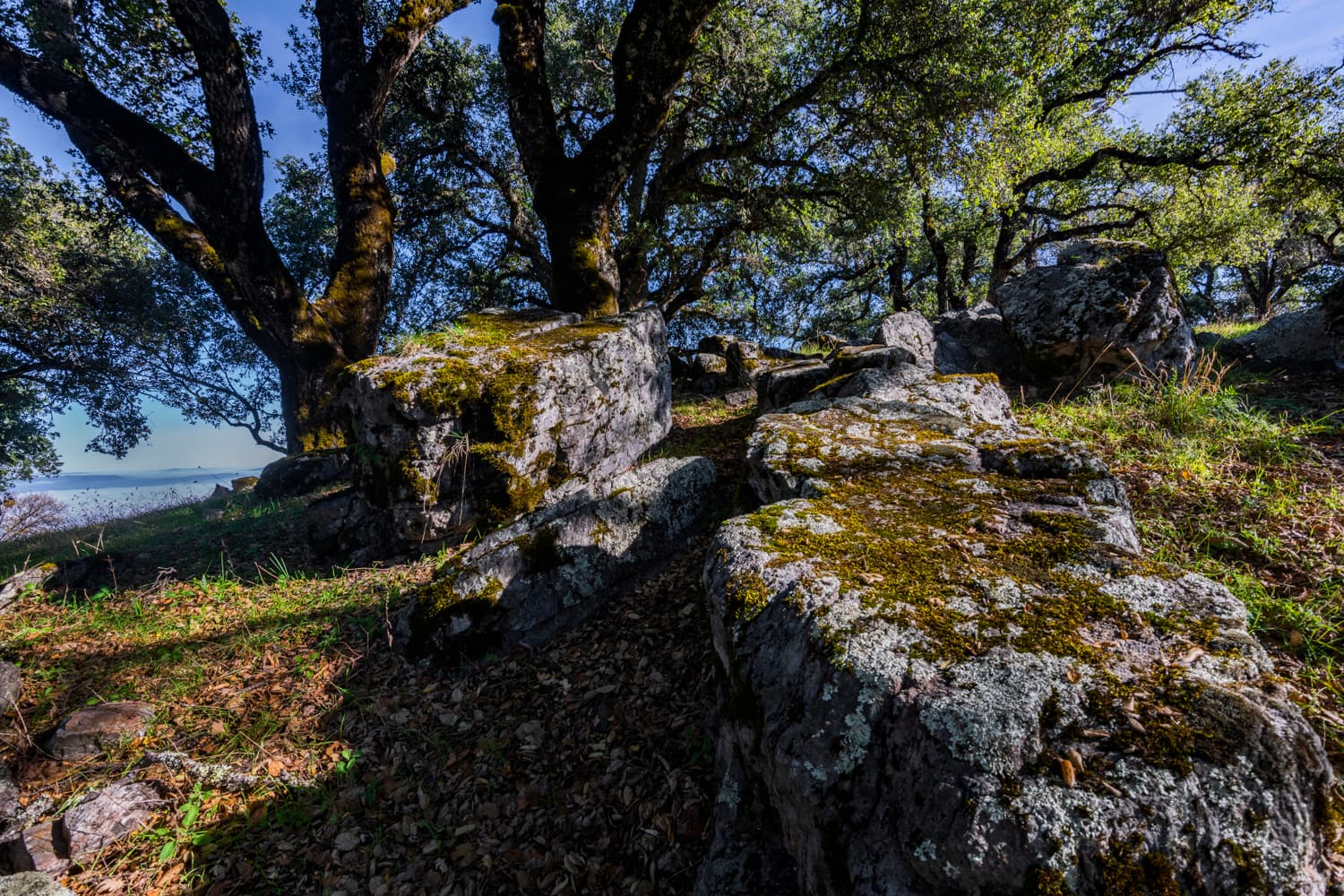 Valley View Campground photo 3