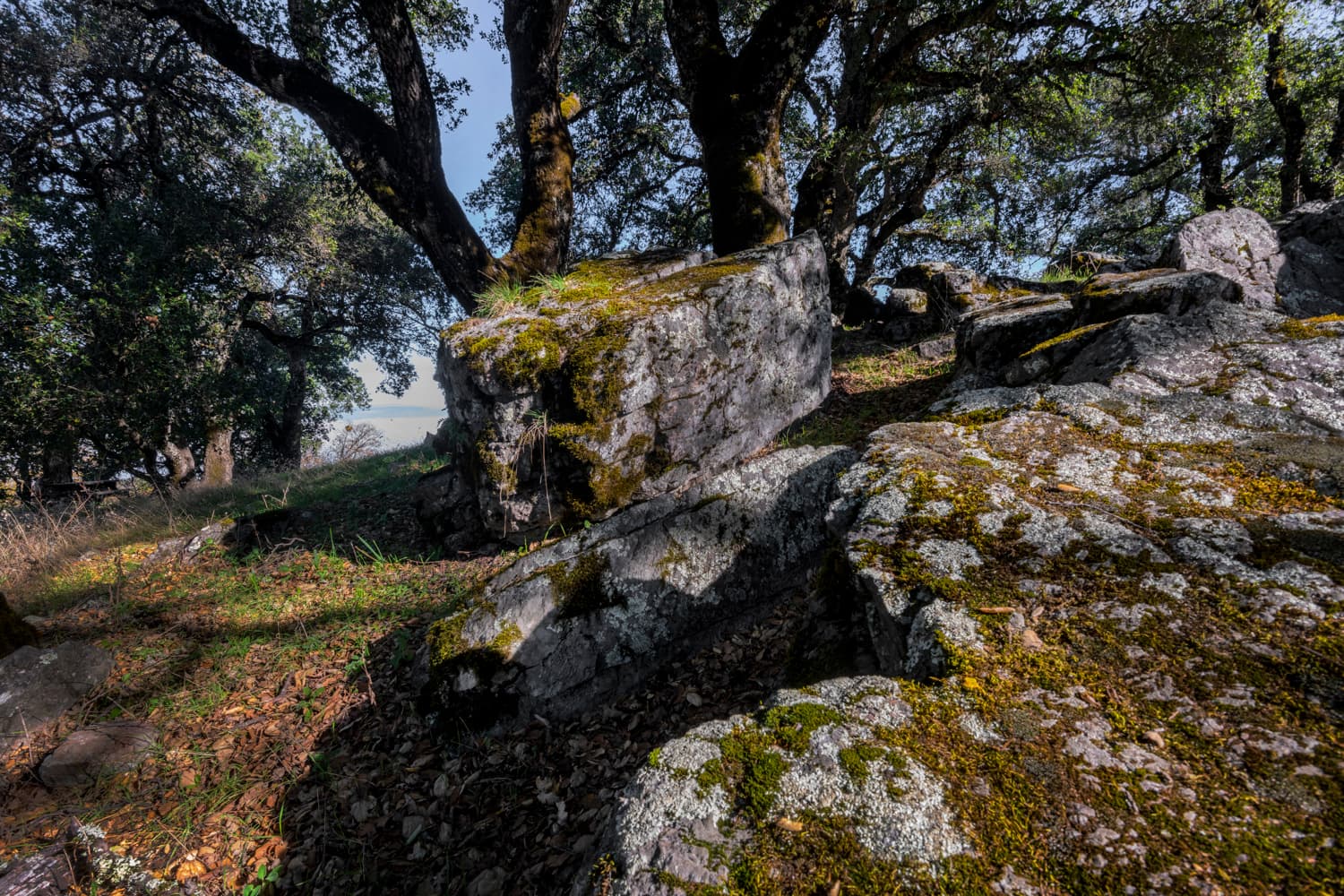 Valley View Campground photo 2