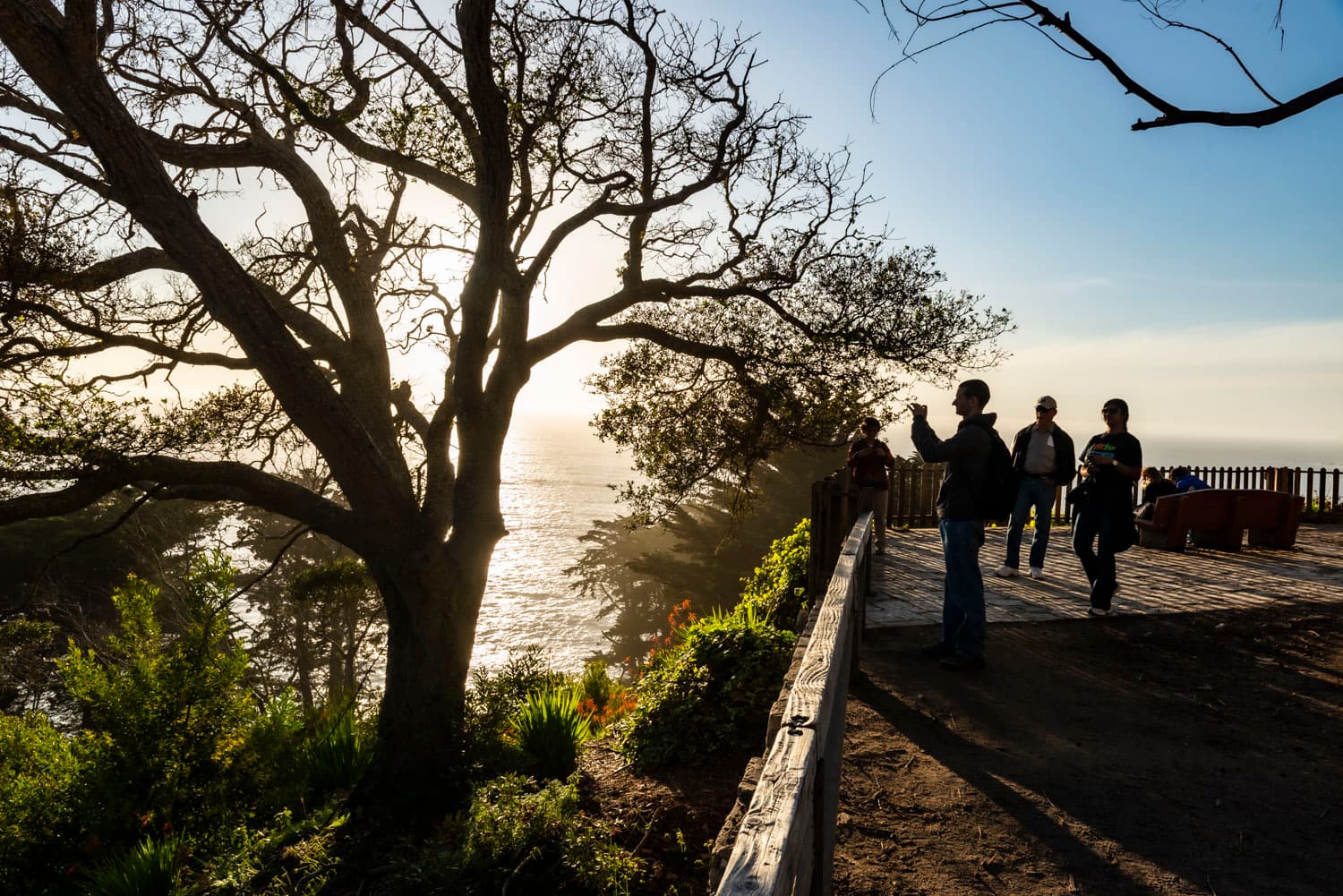 Environmental Group Camp Area