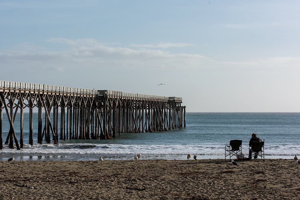 Washburn Campground (sites 201-268) photo 3