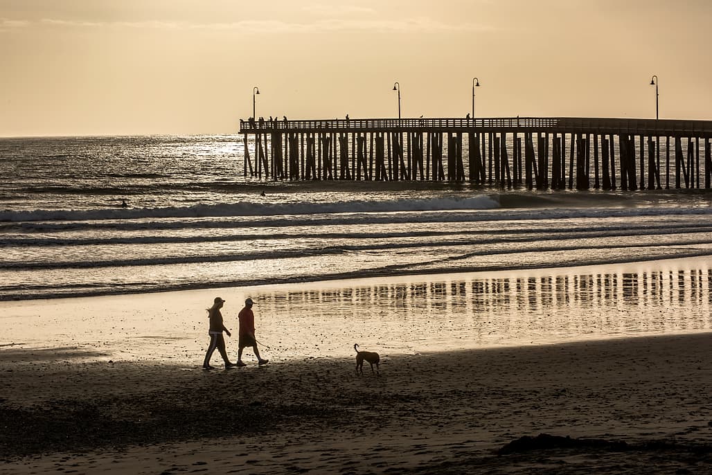 Creek Campground Lower Section (sites 36-115)