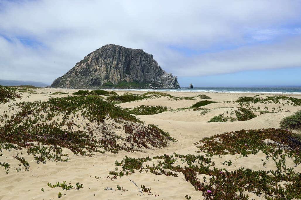 Morro Strand Campground (sites 19-66) photo 7