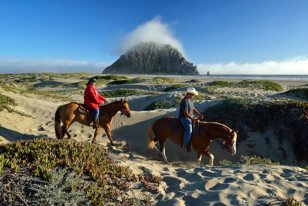 Morro Strand Campground (sites 19-66) photo 5