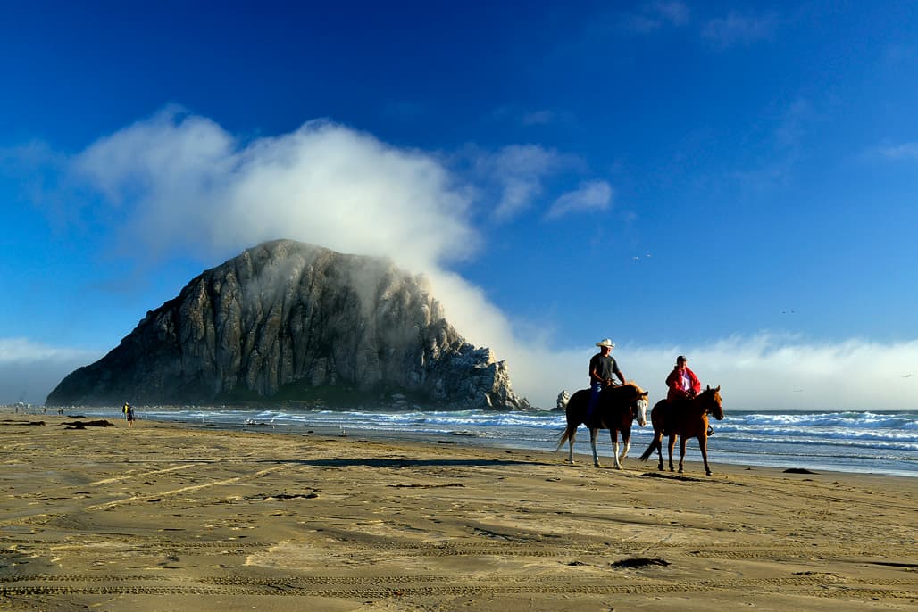 Morro Strand Campground (sites 19-66) photo 4
