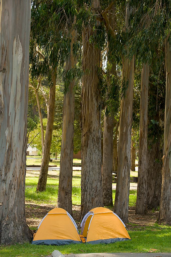 Lower Section (sites 1-85) photo 4