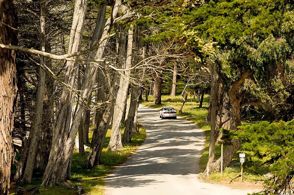 Lower Section (sites 1-85) photo 3