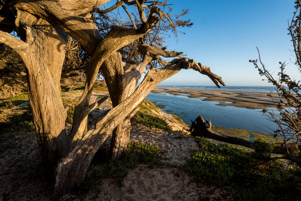 Oceano Camp (sites 1-42) photo 5