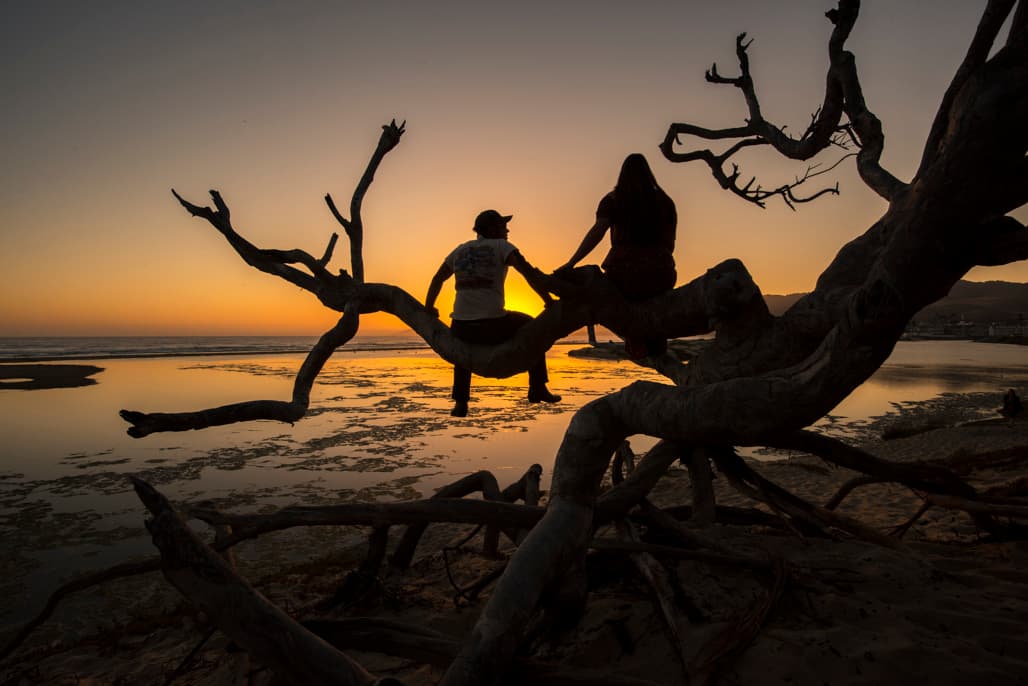 Oceano Camp (sites 1-42) photo 4