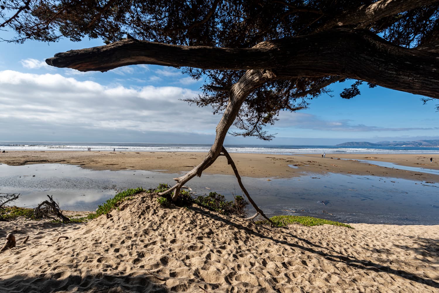 Oceano Camp (sites 1-42) photo 2
