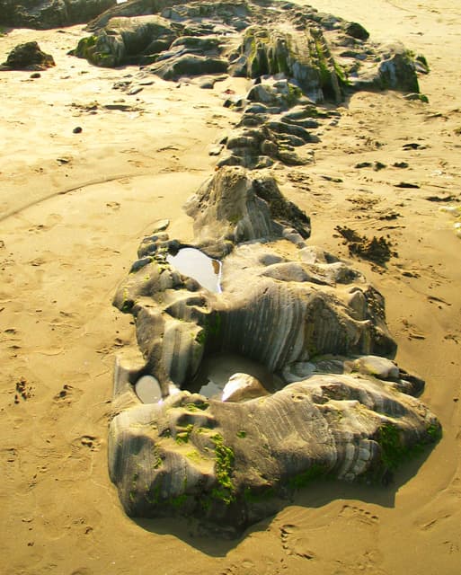 Anacapa (sites 101-127 & group sites) photo 7