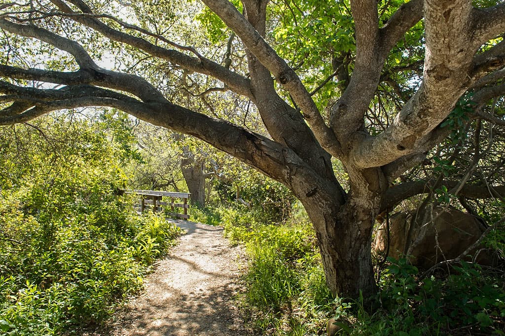 Lower Section (sites 1-28) photo 6