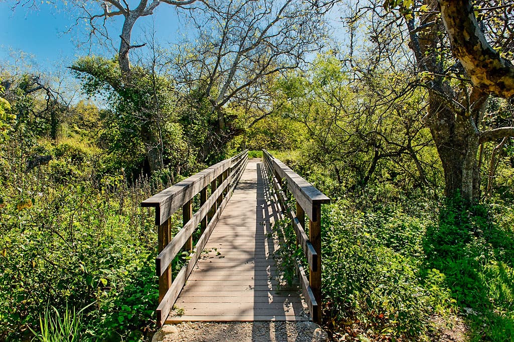 Lower Section (sites 1-28) photo 4