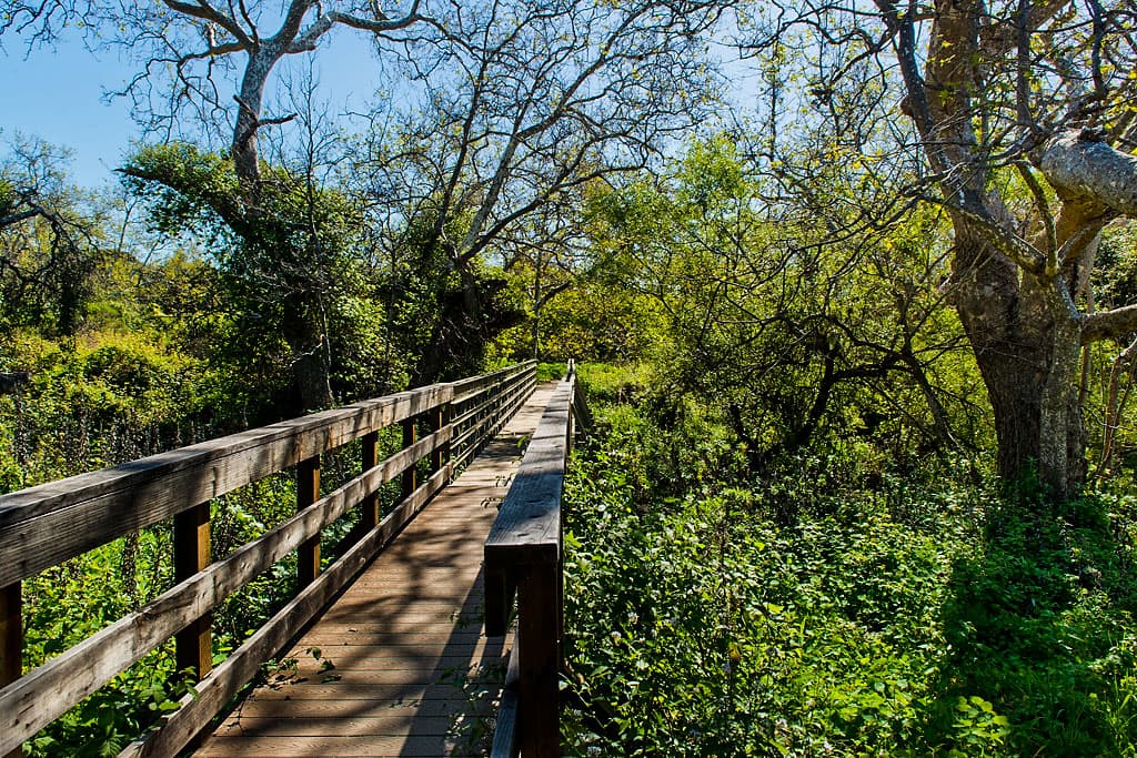 Lower Section (sites 1-28) photo 3