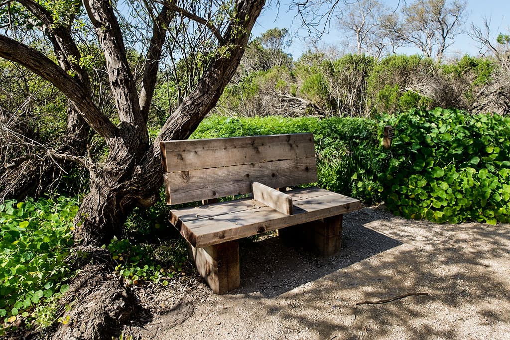 Lower Section (sites 1-28) photo 2