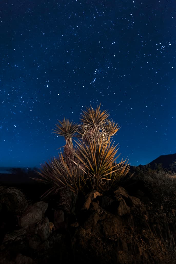 Park Campground photo 4