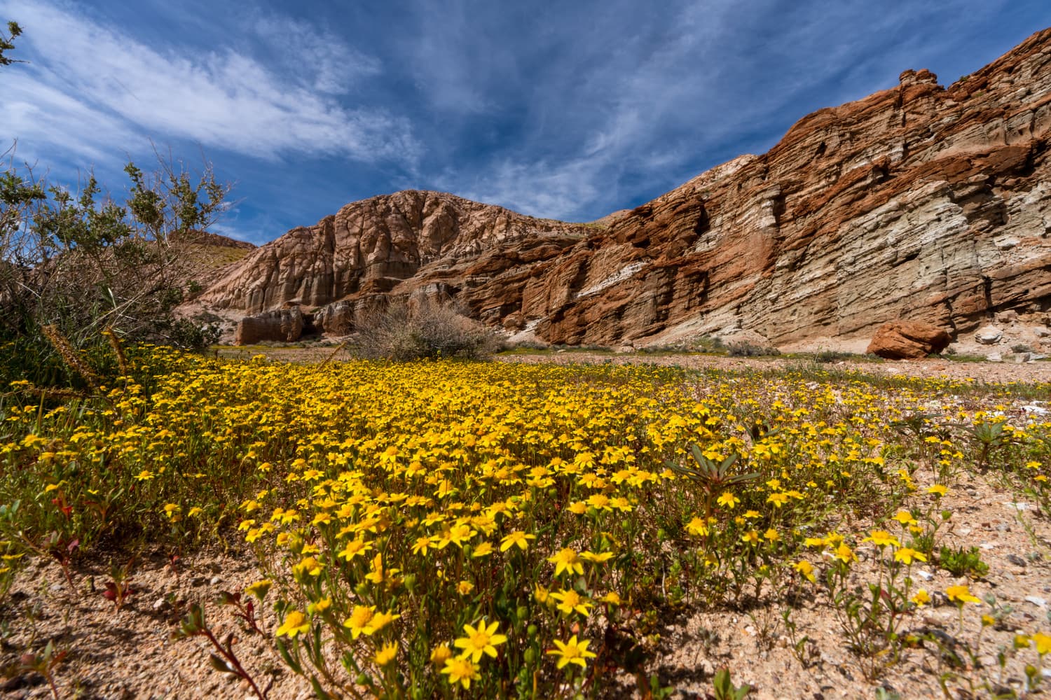 Ricardo Campground photo 6