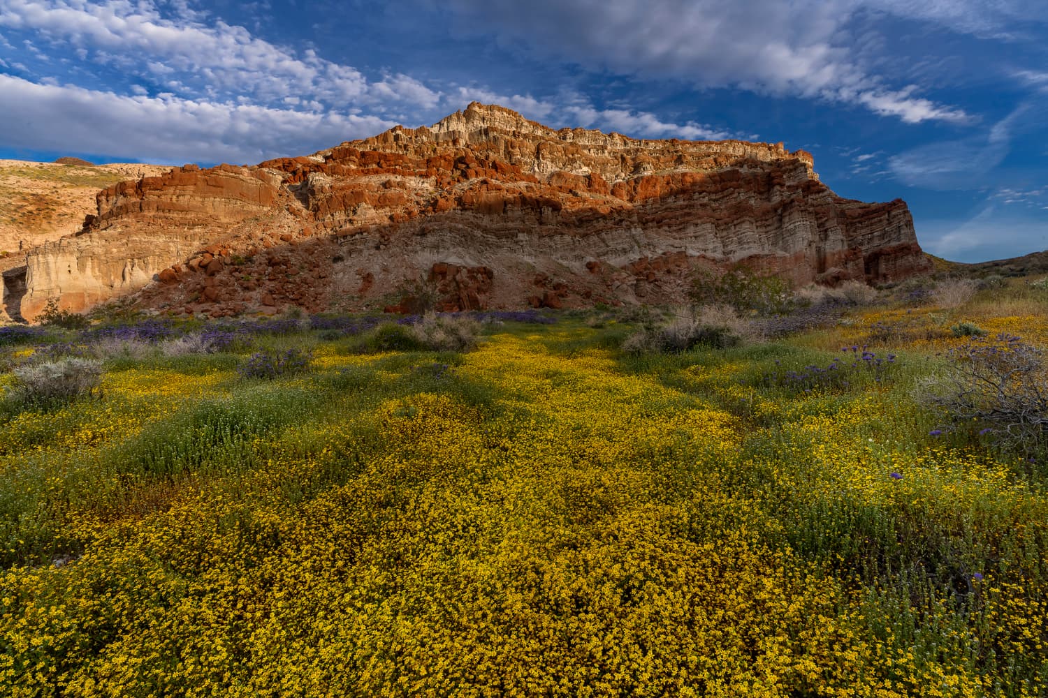 Ricardo Campground photo 5