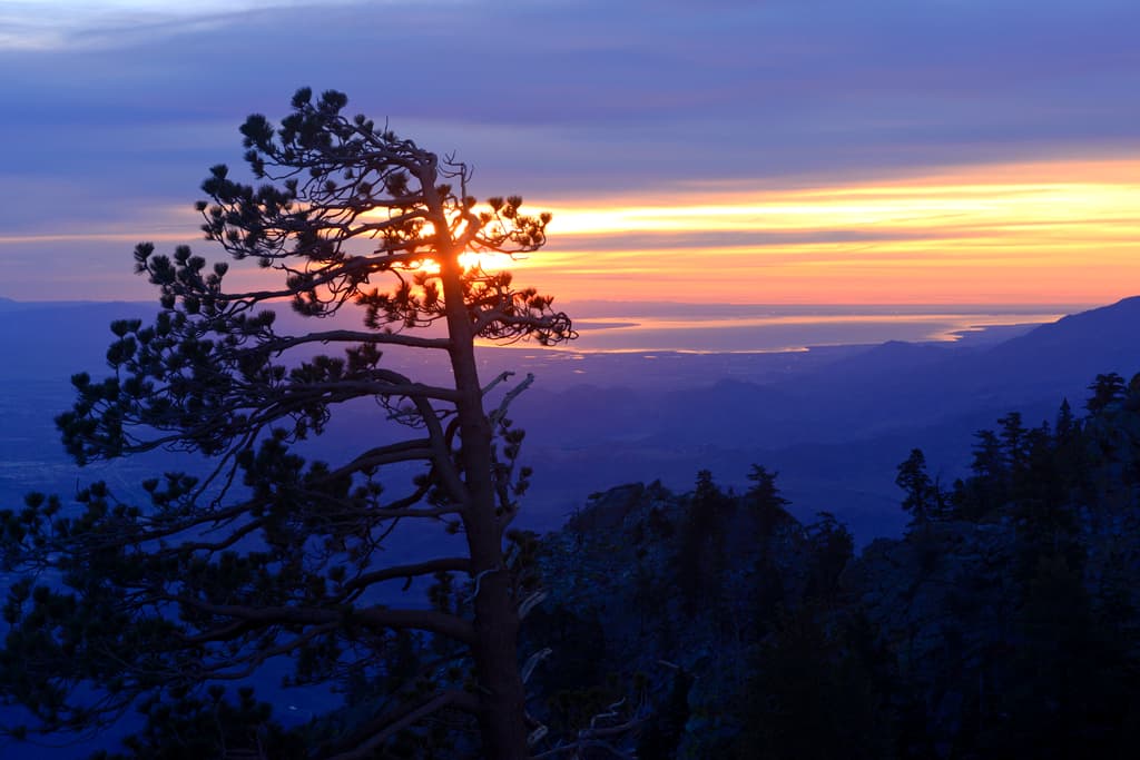 Stone Creek Campground photo 7