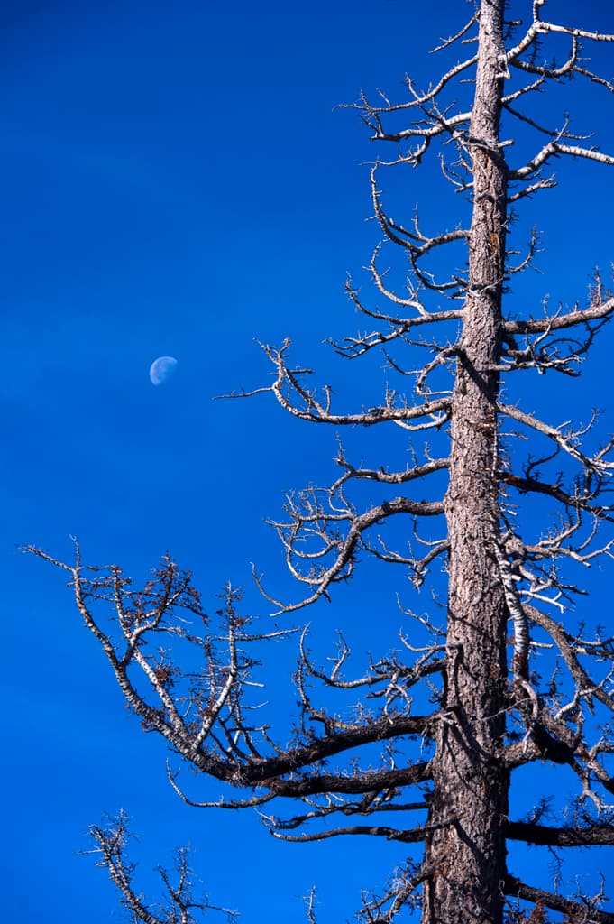 Stone Creek Campground photo 2