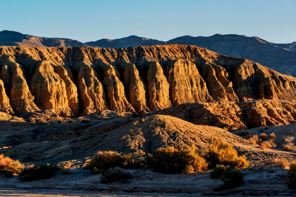 Vern Whitaker Horse Camp photo 6