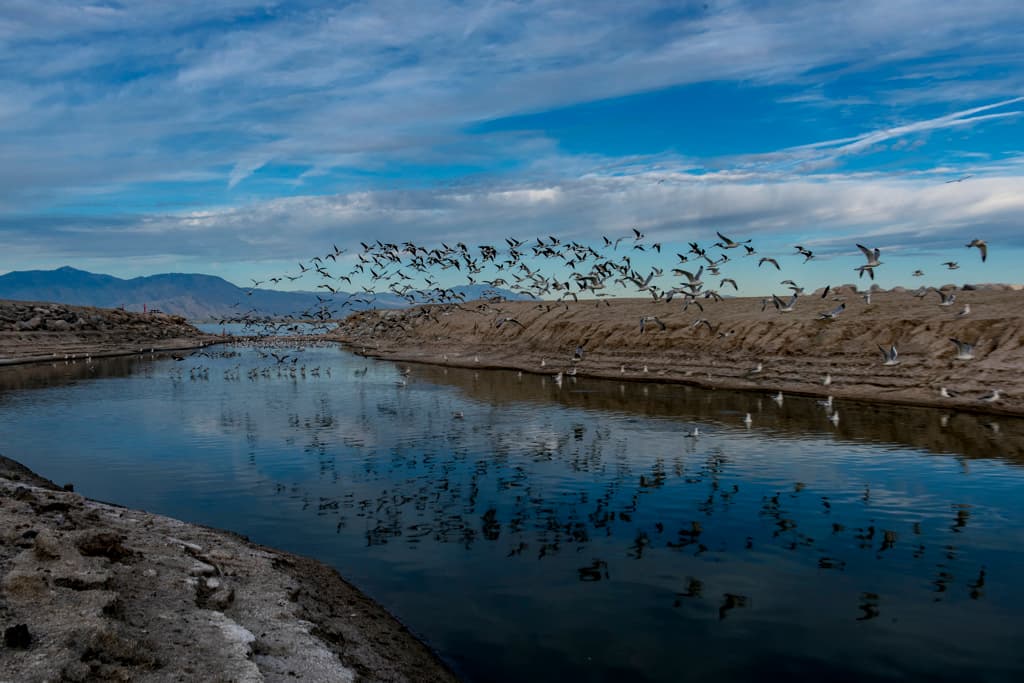 New Camp (sites 26-50) photo 4