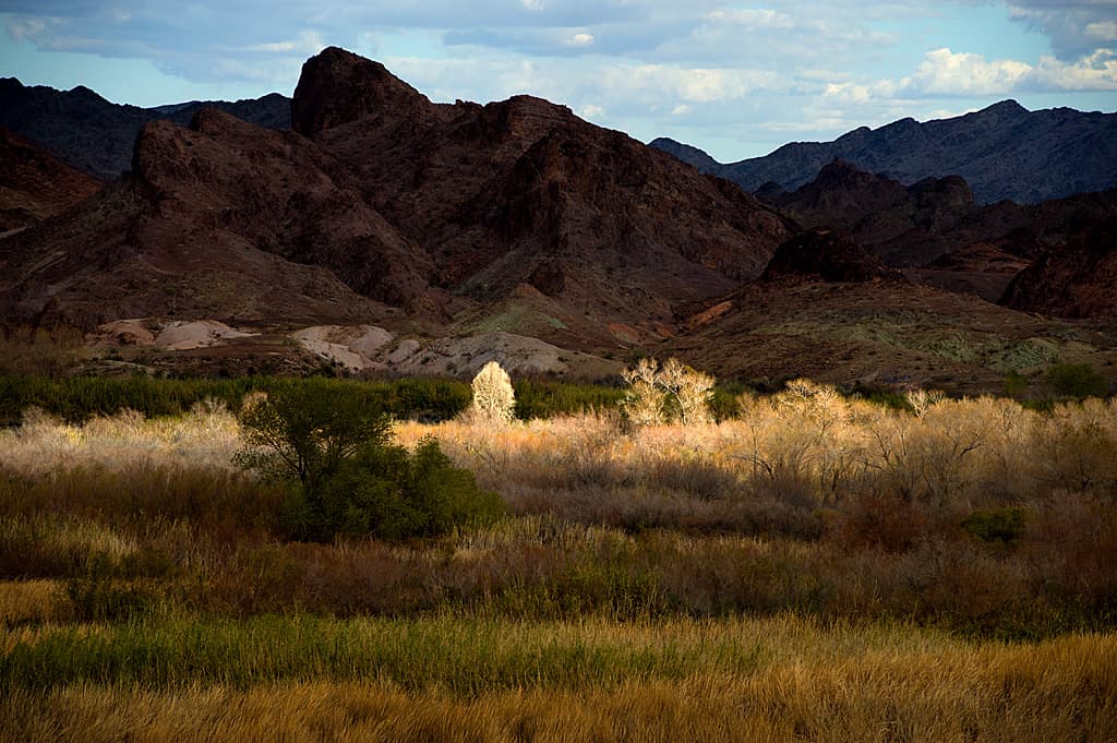 Drive-In Group Site photo 5