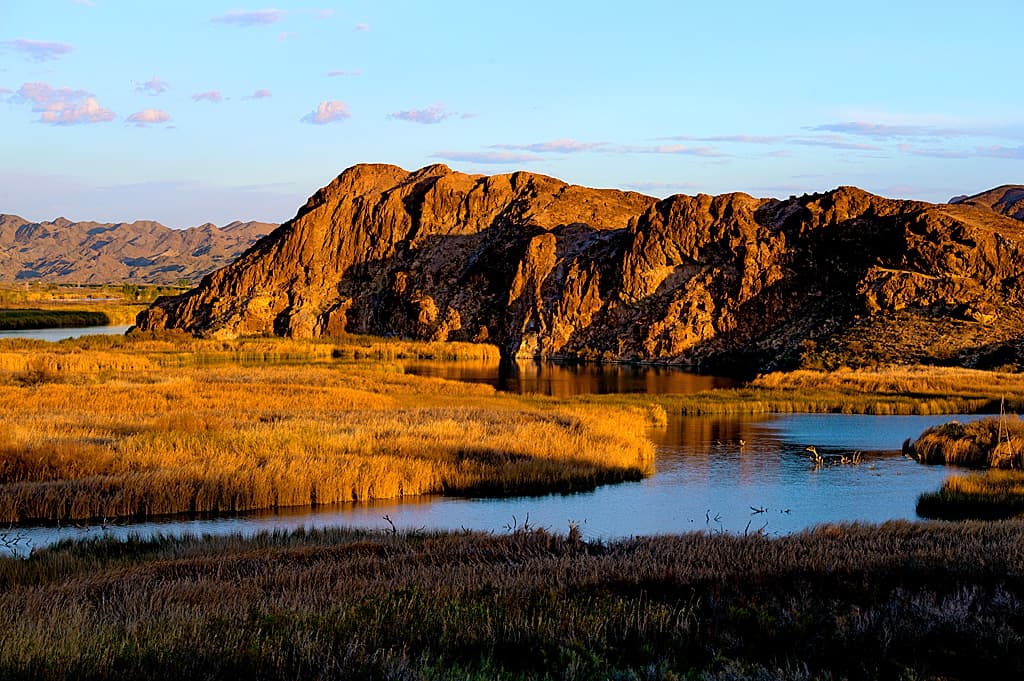 Drive-In Group Site photo 3
