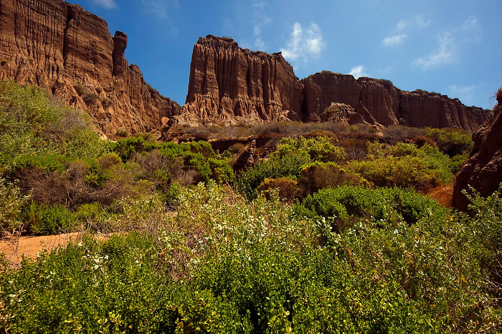Bluffs Group Camp photo 7