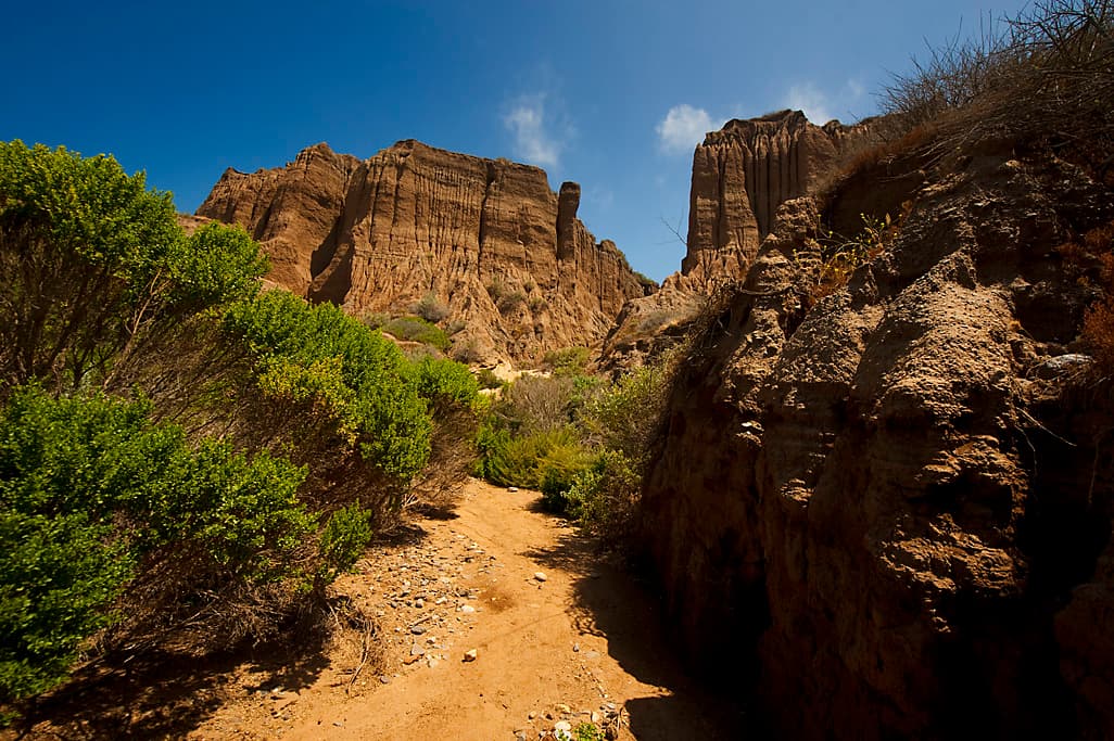 Bluffs Group Camp photo 6