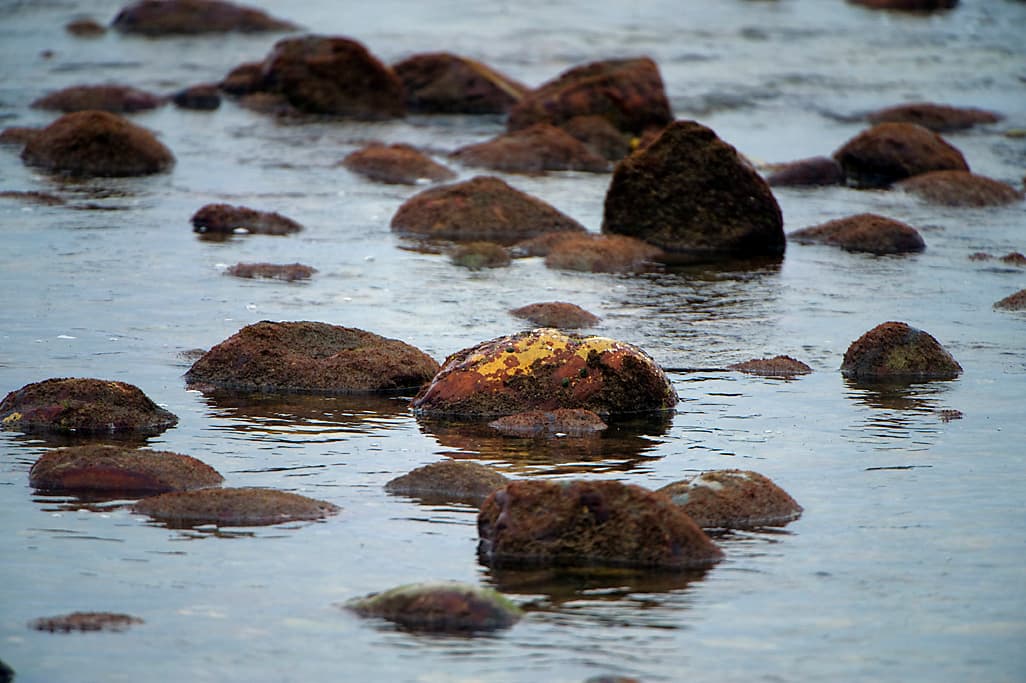 Bluffs Group Camp photo 4