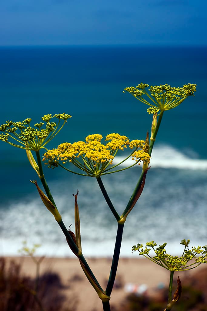 Bluffs Group Camp photo 3