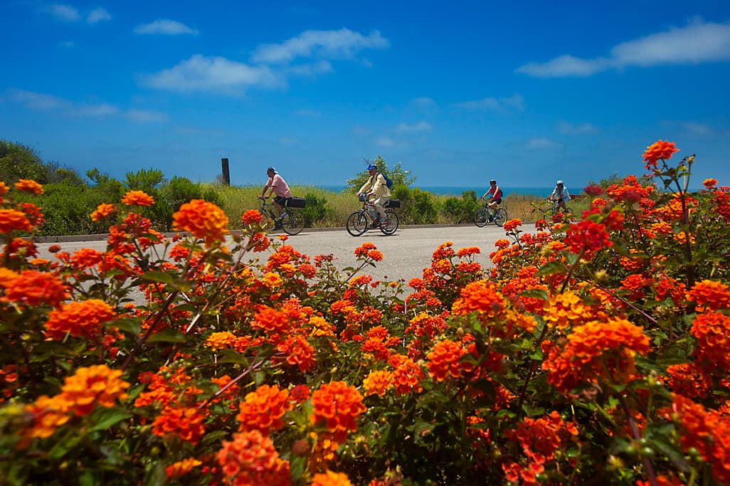 Bluff Camp (sites 67-93)