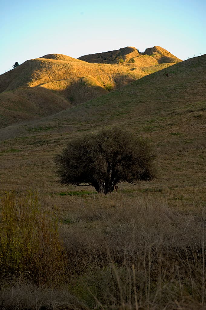 Rolling M. Ranch Campground photo 8