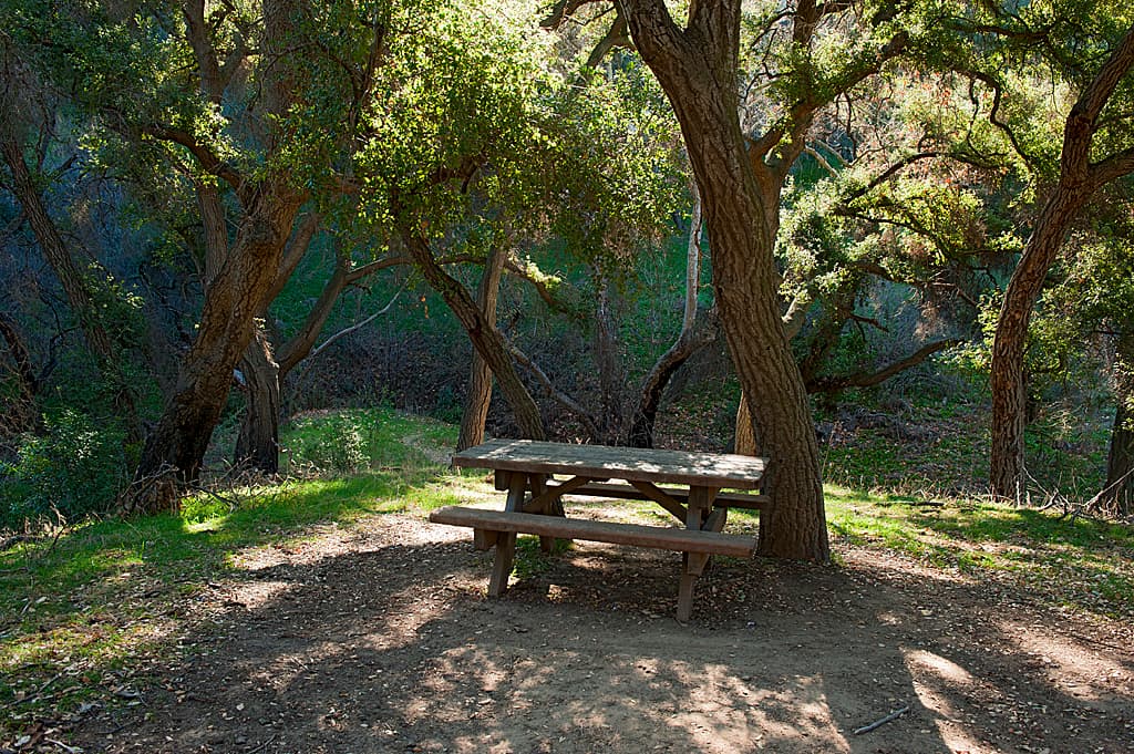 Rolling M. Ranch Campground photo 2