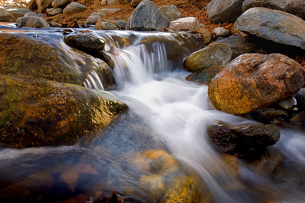 New Mesa Campground (sites 96-136) photo 2