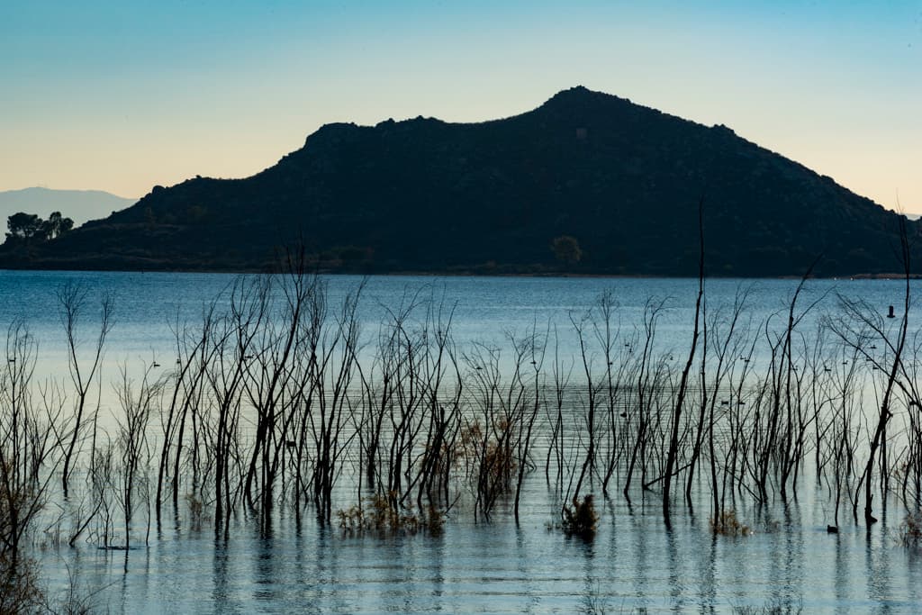 Deer Loop (sites 221-270) photo 8