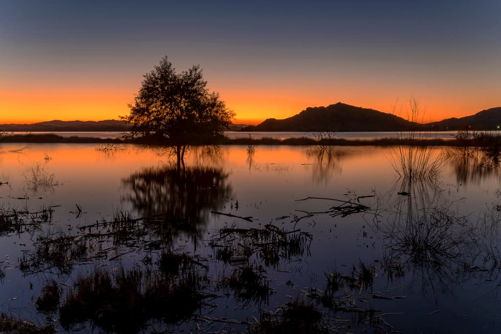 Deer Loop (sites 221-270) photo 4