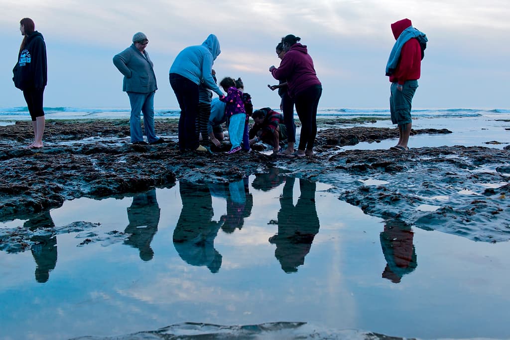 Grunion Run Group Camp photo 2