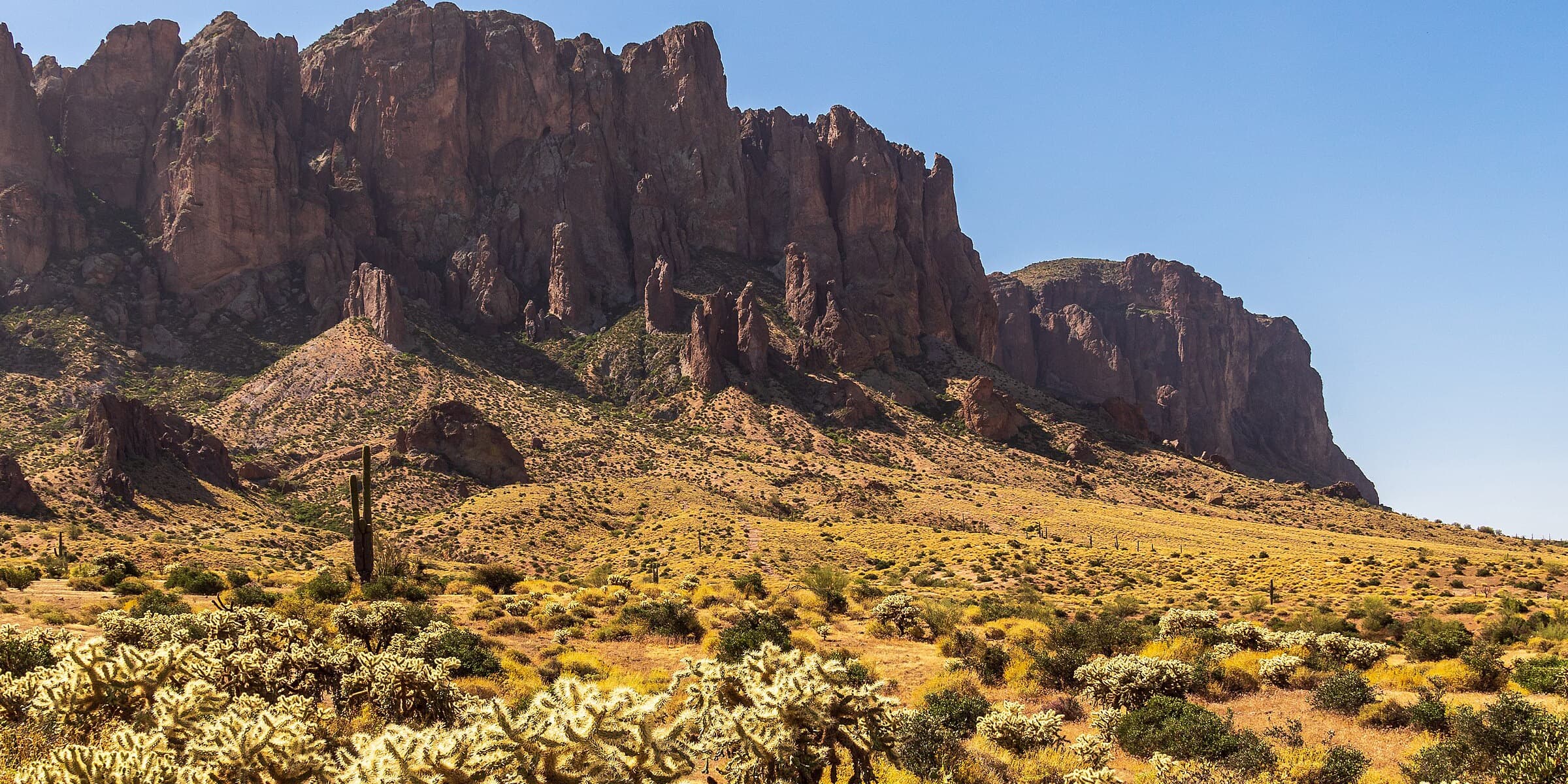 Saguaro cactus in front of the Superstition Mountains at Lost Dutchman State Park