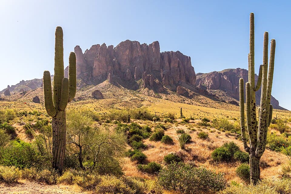 Saguaros in front of the Superstition Mountains at Lost Dutchman State Park
